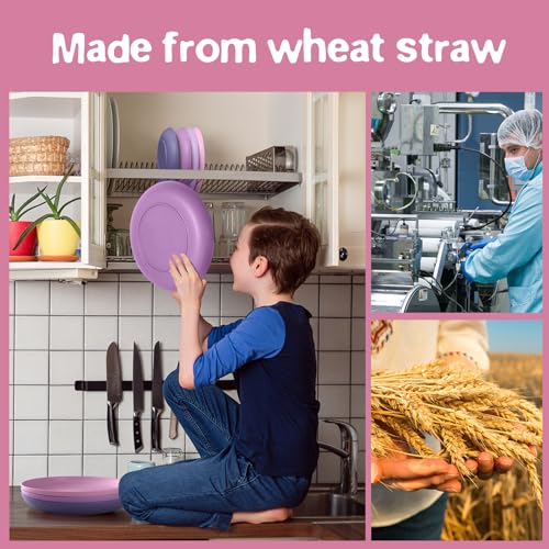 Teivio 32-Piece Kitchen Plastic Wheat Straw Dinnerware Set, Service for 8, Dinner Plates, Dessert Plate, Cereal Bowls, Cups, Unbreakable Colorful Plastic Outdoor Camping Dishes, Purple Ombre - color: Purple Ombre