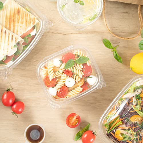 Restaurantware Thermo Tek 16 Ounce Deli Food Containers 100 Anti-Fog Hinged Lid Containers - Freezable Rectangle Clear Plastic To Go Food Containers Disposable - size: 16 oz