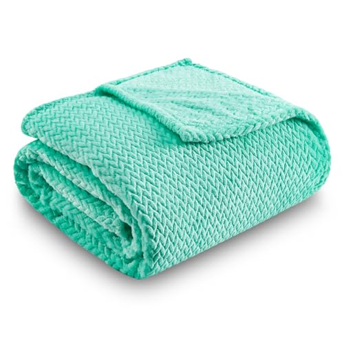 NEWCOSPLAY Super Soft Twin Blanket Aqua Premium Silky Flannel Fleece Leaves Pattern Lightweight Bed Blanket All Season Use (Aqua, Twin(60"x80")) - color: Aqua, size: Twin(60"x80")