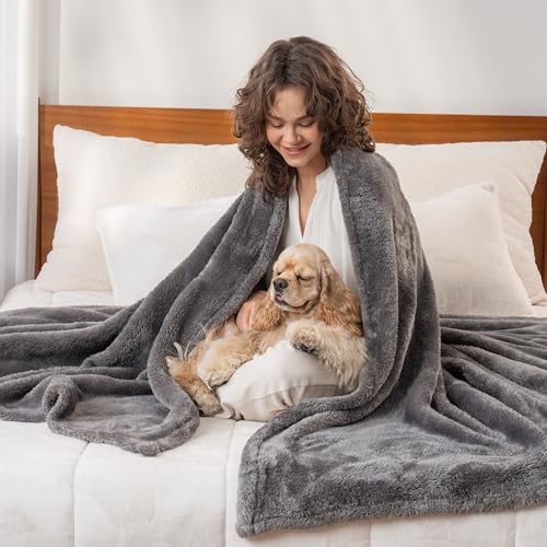 Berkshire Blanket Classic Extra-Fluffy™ Plush Blanket,Twin Size Bed Blanket,Soft Fuzzy Fluffy Long Hair Blanket for Couch Sofa Bed,Shadow Grey,60x92 Inches, E0554-TX-05U - color: Shadow Grey, size: Twin/Twin XL