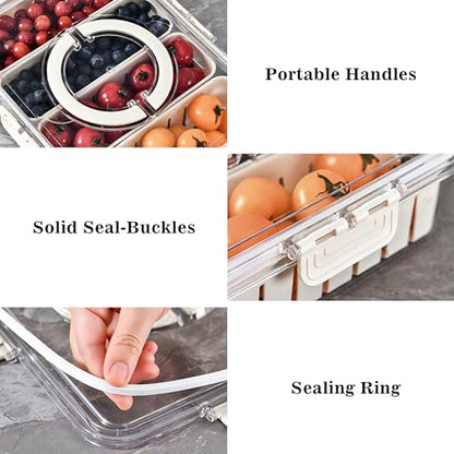 Divided Veggie Tray with Lid and Handle 4 Compartment Serving Tray Portable Travel Snack Storage Containers Stackable Snackle Box Charcuterie Container for Fruit,Vegetable,Salad - size: 1 Pack-4 Compartment