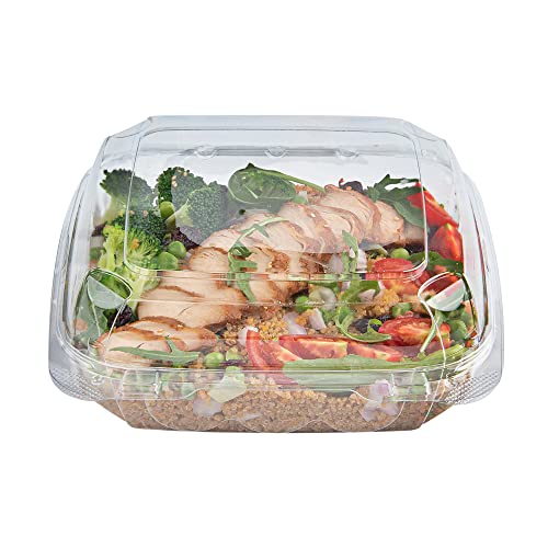 Restaurantware Thermo Tek 33.8 Ounce Clamshell Containers 100 Anti-Fog To Go Food Containers - Freezable Square Clear Plastic Food Packaging Containers Disposable - size: 39 oz