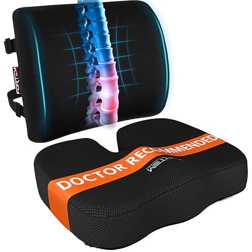 FORTEM Seat Cushion, Office Chair Cushion, Lumbar Support Pillow for Office Chair, Memory Foam Car Seat Cushions, Sciatica Coccyx Tailbone Pain Relief, Cushions for Back Support, Washable, Non Slip - color: Black Mesh, size: Large