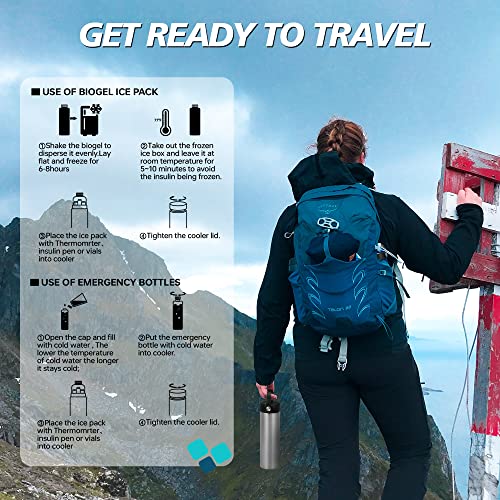 Medineed Insulin Cooler Travel Case TSA Approved, Portable Medication Cooler with Ice Packs, Refrigerated Diabetes Travel Organizer for 1-4 Pens and Diabetic Supplies (Silver) - color: Silver