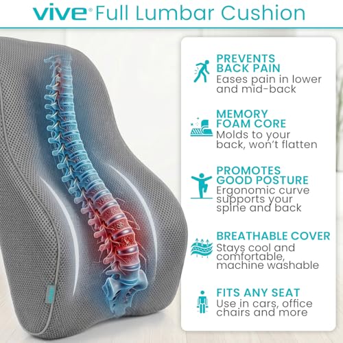 Vive Full Lumbar Pillow - Memory Foam Contour Support Cushion for Lower Back Pain - color: Gray