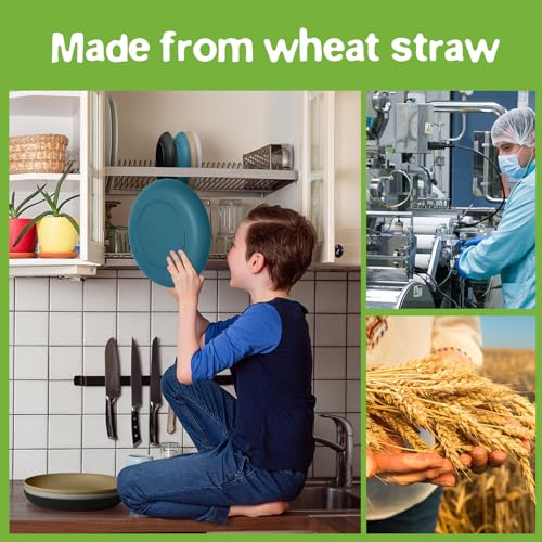 Teivio 32-Piece Kitchen Plastic Wheat Straw Dinnerware Set, Service for 8, Dinner Plates, Dessert Plate, Cereal Bowls, Cups, Unbreakable Colorful Plastic Outdoor Camping Dishes, Cerulean Hues - color: Cerulean Hues