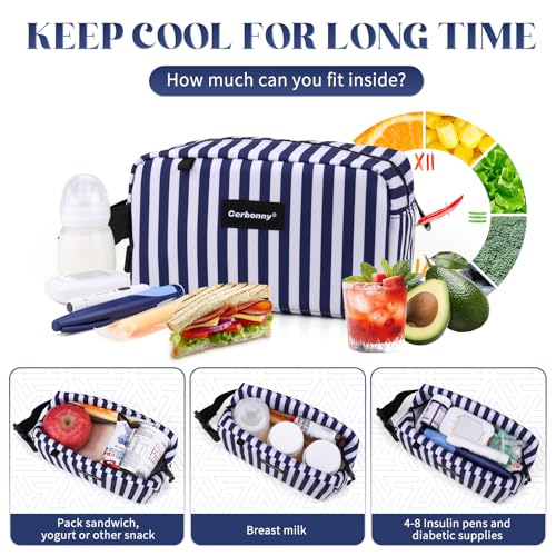 Freezable Lunch Bag,Freezable Snack Bag,Mini Cooler Bag for Travel/Work/School,Small Insulated Bag,Small Cooler Lunch Box with Ice Packs,Insulated Snack Bag,Freezable Snack Box with Handle Buckle - color: Blue Stripes