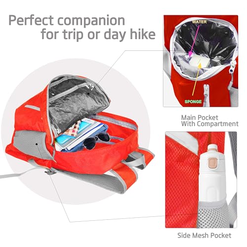 35L Foldable Waterproof Backpack For Outdoor Sports Travel Inside Wet Clothes Compartment Packable For Multiple - color: 1red