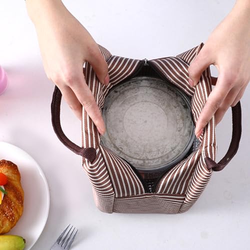 2PCS Lunch Bags Reusable Lunch Tote Bags Portable Lunch Cooler Bag Lunch Holder Insulated Lunch Box Bag for Picnic Office Beach (Brown+Green) - color: Brown+Green
