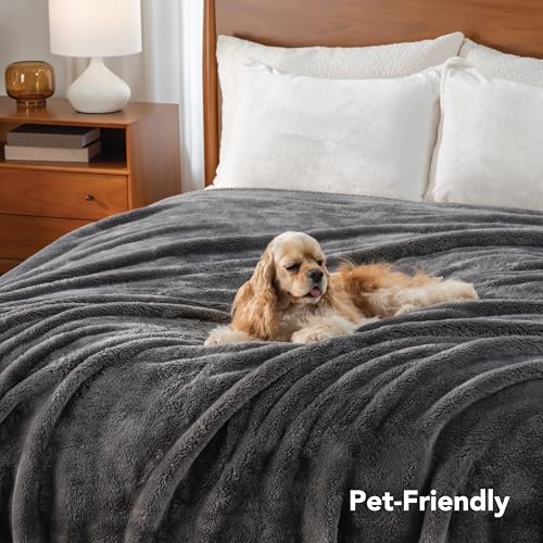 Berkshire Blanket Classic Extra-Fluffy™ Plush Blanket,Twin Size Bed Blanket,Soft Fuzzy Fluffy Long Hair Blanket for Couch Sofa Bed,Shadow Grey,60x92 Inches, E0554-TX-05U - color: Shadow Grey, size: Twin/Twin XL