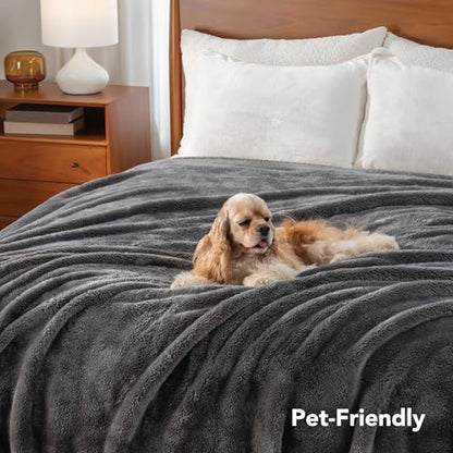 Berkshire Blanket Classic Extra-Fluffy™ Plush Blanket,Twin Size Bed Blanket,Soft Fuzzy Fluffy Long Hair Blanket for Couch Sofa Bed,Shadow Grey,60x92 Inches, E0554-TX-05U - color: Shadow Grey, size: Twin/Twin XL