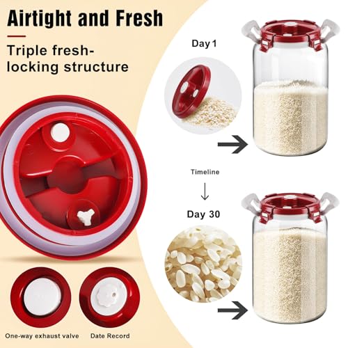 2.6 Gallon Glass Rice Storage Container with Airtight Lid & Handle, 10L Large Glass Food Storage Jar for 20 lb Rice or 10 lb Flour, Wide Mouth Pantry Canister with Silicone Base
