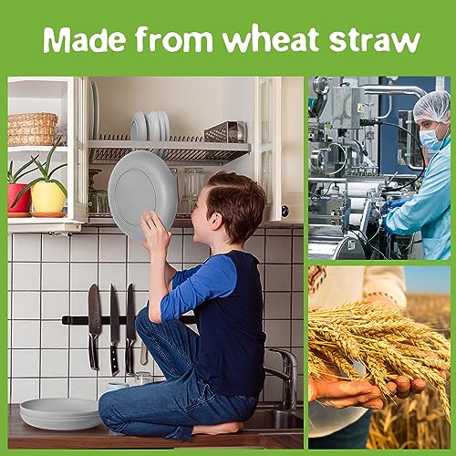 Teivio 32-Piece Kitchen Plastic Wheat Straw Dinnerware Set, Service for 8, Dinner Plates, Dessert Plate, Cereal Bowls, Cups, Unbreakable Colorful Plastic Outdoor Camping Dishes, Light Gray - color: Light Gray