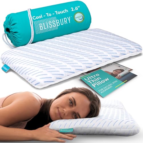 BLISSBURY Cooling Memory Foam Pillow, 2.6 Inch Thin, for Stomach & Back Sleeper, Queen Size, Removable Cool-Tech Cover, CertiPUR-US Certified - color: Cooling (White), size: 2.6"H (Queen)