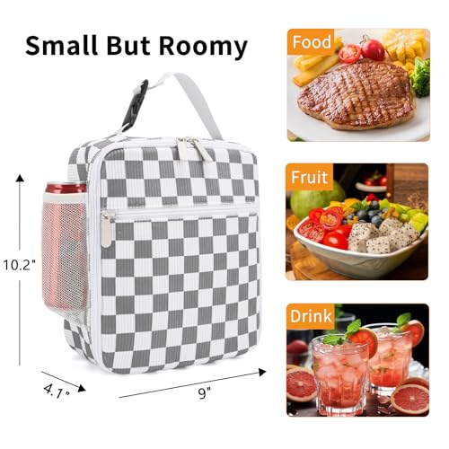 Lunch Box for Women Men Adult Insulated Lunch Bag Women Men Small Reusable Lunchbox for Work Picnic Travel (Gray-White Plaid) - color: Gray-White Plaid