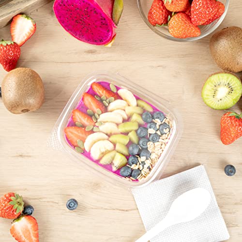 Restaurantware Thermo Tek 12 Ounce Deli Food Containers 100 Anti-Fog Hinged Lid Containers - Freezable Rectangle Clear Plastic To Go Food Containers Disposable - size: 12 oz