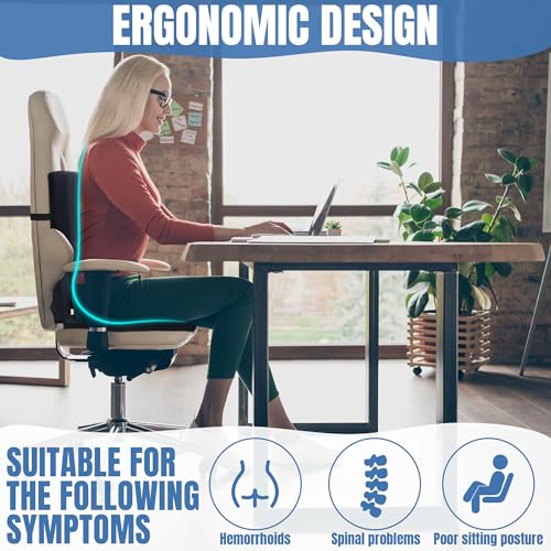 BALAPET Lumbar Support Seat Cushion,Ergonomic Lumbar Support for Posture Correction Cushion and Tailbone Pain Relief, Foldable and Portable Back Rest Coccyx Pillow for Office Chair,Car,Travel(Black)