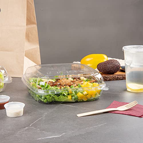 Restaurantware Thermo Tek 45.7 Ounce Clamshell Containers 100 Anti-Fog To Go Food Containers - Freezable Rectangle Clear Plastic Food Packaging Containers Disposable - size: 46 oz