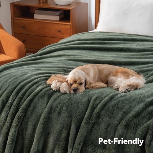 Berkshire Blanket Classic Extra-Fluffy™ Plush Blanket King Size, Soft Fuzzy Fluffy Long Hair Blanket for Couch Sofa Bed, Dark Sage Green, 90x108 Inches - color: Dark Sage Green, size: King/Cal King