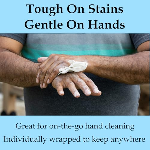 Amodex Ink & Stain Remover Arsenal, Safe and Effective on Clothes, Leather and Skin, Full Set for all your Stain Removal Needs, Includes 2 Bottles, 1 Brush, 10 Wipes - style: Stain Remover Arsenal Kit