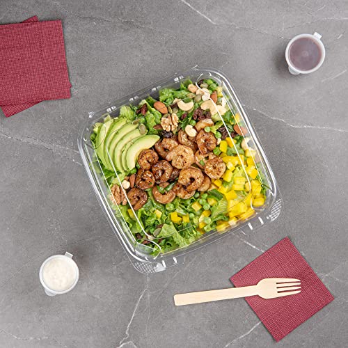 Restaurantware Thermo Tek 45.7 Ounce Clamshell Containers 100 Anti-Fog To Go Food Containers - Freezable Rectangle Clear Plastic Food Packaging Containers Disposable - size: 46 oz