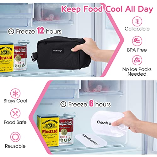 Cerbonny Small Lunch Bag, Freezable Lunch Bag, Small Cooler Bag, Insulated Mini Cooler Box with Ice Packs & Handle Buckle for Work Travel,Black - color: black-1