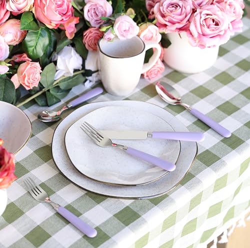ANNOVA Stainless Steel Colorful Tableware Kitchen Flatware Set Utensils, Includes Dinner Knives, Forks, Spoons, Salad Forks & Dessert Spoons, Modern Rounded Shape (Lilac, 20 Pieces) - color: Lilac