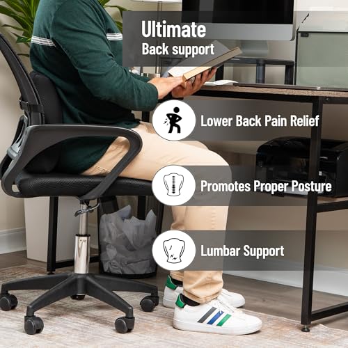 Mind Reader Lumbar Support Pillow with Air-Cloud Technology, Office Chair Back Cushion, Memory Foam, Black