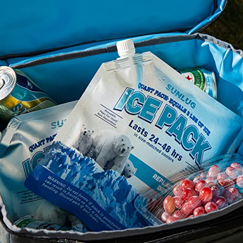 Cooler Ice Packs Reusable Ice Packs for Coolers Long Lasting Freezer Packs for Cooler Bag, Lunch Bags, Cooler Backpacks - color: 5 Pack - All Purpose Ice Packs