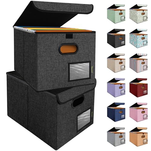 BALEINE File Organizer Box with Lid, Collapsible File Folder Organizer with Plastic Slide, Hanging File Folder Box for Office Document Storage (2 Pack, Black) - color: Black, size: 2 Pack