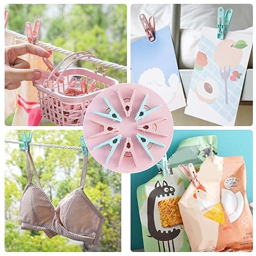 Pegs for Washing Line 31Psc Non Slip Windproof PP Material Pegs with Basket Multifunctional Fastening Waterproof Laundry with Spring Light Blue.. - color: Light Blue