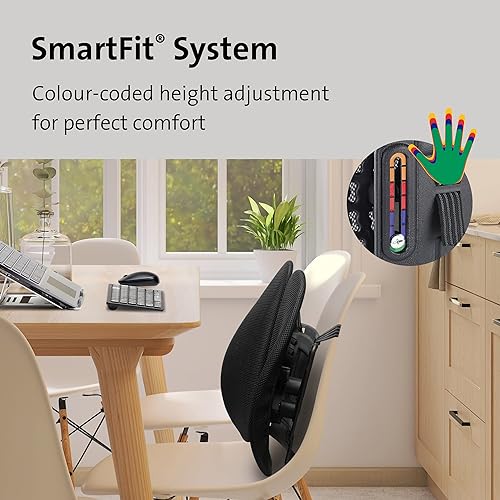 Kensington SmartFit Conform Back Rest – Adjustable Lumbar Support with Flexible Side Panels, Ergonomic Mesh Design for Improved Posture & Comfort, Universal Office Chair Fit – Black (K60412WW)