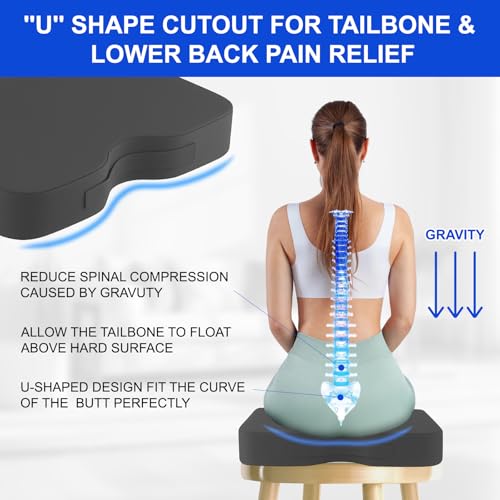 Stadium Seat Cushions 2 Pack, Extra Thick 2.5 Inch, Black Oxford Fabric, U-Shaped Ergonomic Design, Waterproof & Portable Bleacher Seats with Carrying Handle (Grey - 2 Pack) - color: Grey - 2 Pack