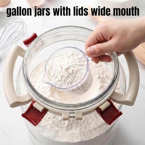 2.6 Gallon Glass Rice Storage Container with Airtight Lid & Handle, 10L Large Glass Food Storage Jar for 20 lb Rice or 10 lb Flour, Wide Mouth Pantry Canister with Silicone Base