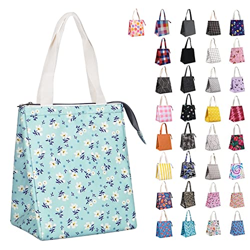 iknoe Insulated Lunch Bag for Women & Adults, 9L Foldable Wide-Open Cooler Bag with Pockets, Leakproof & Portable, for Picnic, Office, Beach(Shivering) - color: Shivering, size: Zipper Closure