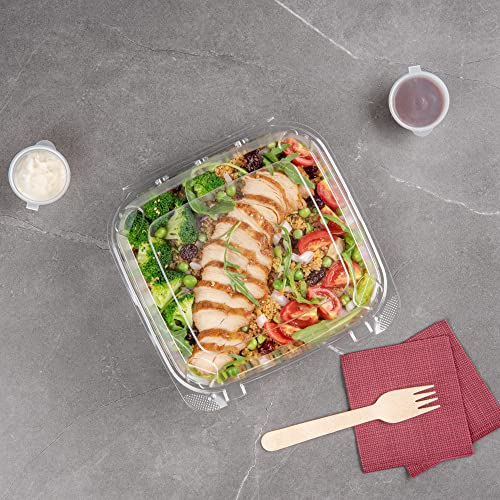 Restaurantware Thermo Tek 33.8 Ounce Clamshell Containers 100 Anti-Fog To Go Food Containers - Freezable Square Clear Plastic Food Packaging Containers Disposable - size: 39 oz