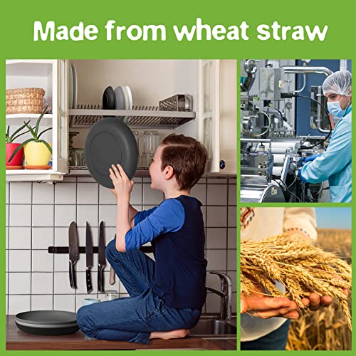 Teivio 32-Piece Kitchen Plastic Wheat Straw Dinnerware Set, Service for 8, Dinner Plates, Dessert Plate, Cereal Bowls, Cups, Unbreakable Colorful Plastic Outdoor Camping Dishes, Gray Ombre - color: Gray Ombre
