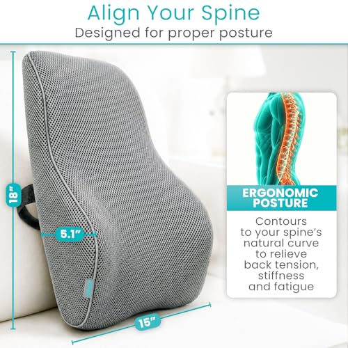 Vive Full Lumbar Pillow - Memory Foam Contour Support Cushion for Lower Back Pain - color: Gray