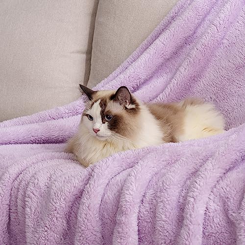 Berkshire Blanket Classic Extra-Fluffy™ Plush Throw Blanket, Soft Fuzzy Fluffy Long Hair Throw Blanket for Couch Sofa Bed, Pastel Lilac Purple, 50x60 Inches - color: Pastel Lilac, size: Throw/Throw XL