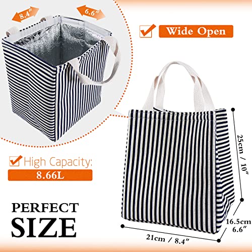 Lunch Bag Insulated Lunch Box for Women Men,Reusable Adult Lunch Tote Bags for Work or Travel (Striped Blue) - color: Striped Blue