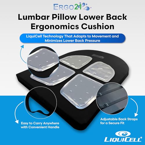 ERGO21 Lumbar Pillow Lower Back Support Cushion for Back Rest, Good Posture, Spine Pain, Long Sitting Hours at Chair, Office, Car Seat, Wheelchair, Large (18" W x 24”x 1.5”) - size: Lumbar Large - 24" x 18" x 1.5"
