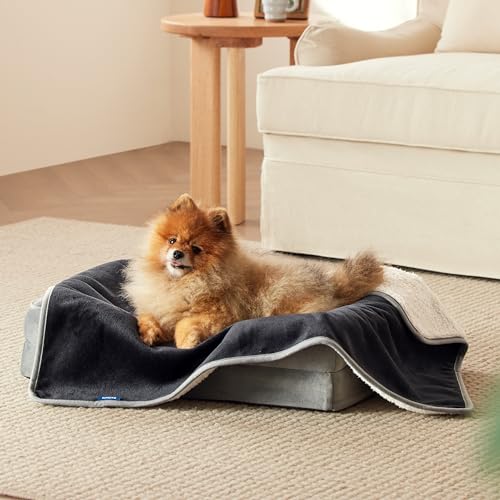 Bedsure Cat Blanket for Indoor Cats - Waterproof Calming Cat Blankets for Kitten, Sherpa Fleece Pet Blanket, Soft Plush Reversible Throw Furniture Protector, 35"x25", Black - color: Black, size: S(25x35")
