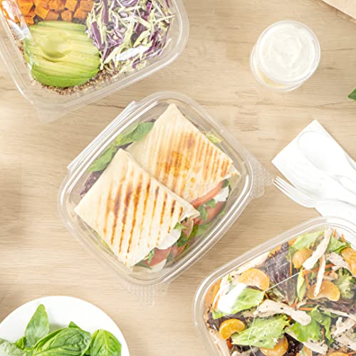 Restaurantware Thermo Tek 24 Ounce Deli Food Containers 100 Anti-Fog Hinged Lid Containers - Freezable Rectangle Clear Plastic To Go Food Containers Disposable - size: 24 oz