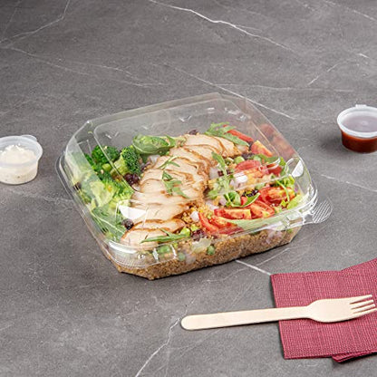 Restaurantware Thermo Tek 33.8 Ounce Clamshell Containers 100 Anti-Fog To Go Food Containers - Freezable Square Clear Plastic Food Packaging Containers Disposable - size: 39 oz