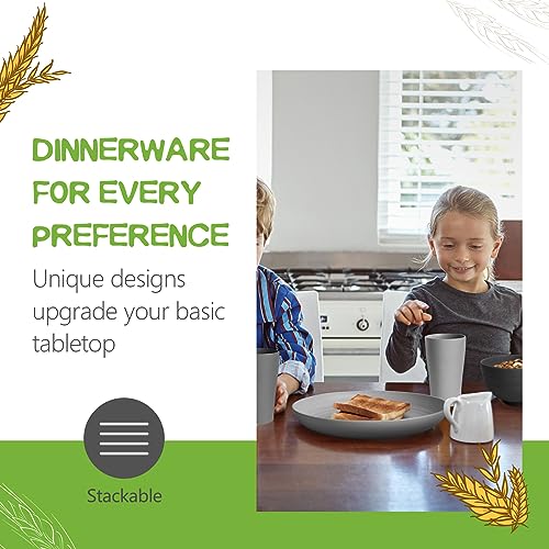 Teivio 32-Piece Kitchen Plastic Wheat Straw Dinnerware Set, Service for 8, Dinner Plates, Dessert Plate, Cereal Bowls, Cups, Unbreakable Colorful Plastic Outdoor Camping Dishes,Coastal - color: Coastal