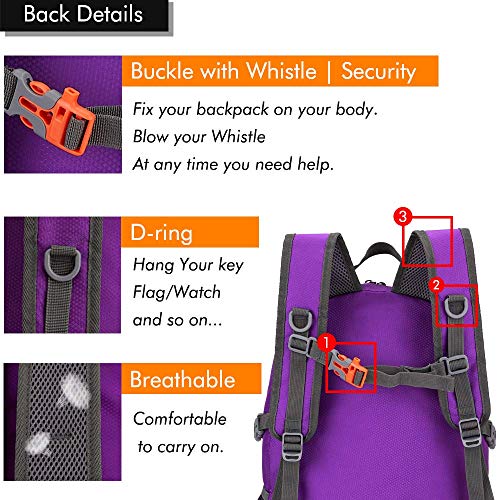 MAXTOP 40/50L Lightweight Packable Backpack for Hiking Traveling Camping Water Resistant Foldable Outdoor Travel Daypack - color: Purple
