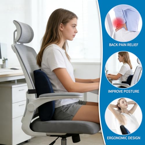 Lumbar Support Pillow for Office Chair, Memory Foam Back Support Pillow for Office Chair, Help Relieve Pain of Back and Lumbar, with Breathable Cover, Ergonomic and Comfortable for Long Hours Sitting