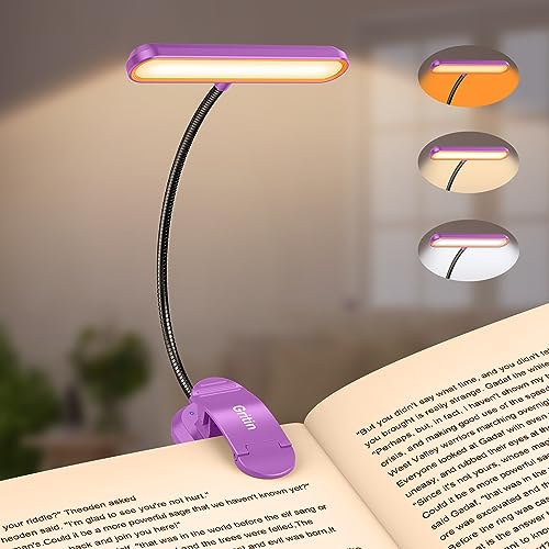 Gritin Rechargeable Book Light for Reading in Bed with 19 LED &Memory Function-Eye Caring 3 Color Temperatures,5 Brightness Levels,90 Hrs Runtime Flexible Goose Neck Clip on Light-Dark Purple - color: Dark Purple