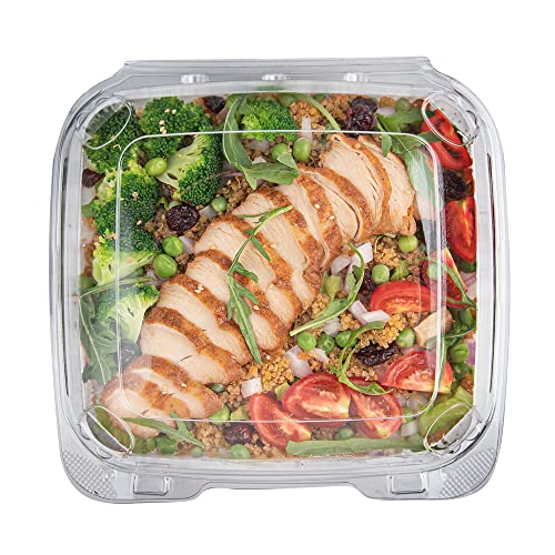 Restaurantware Thermo Tek 33.8 Ounce Clamshell Containers 100 Anti-Fog To Go Food Containers - Freezable Square Clear Plastic Food Packaging Containers Disposable - size: 39 oz