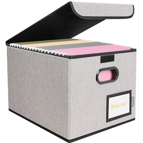 BALEINE File Organizer Box with Lid, Collapsible File Folder Organizer with Plastic Slide, Hanging File Folder Box for Office Document Storage (1 Pack, Beige) - color: Beige, size: 1 Pack